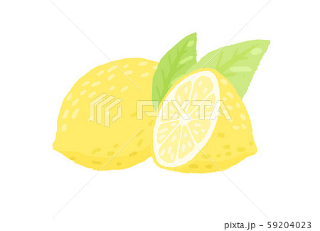 檸檬 レモン シトロン 59204023