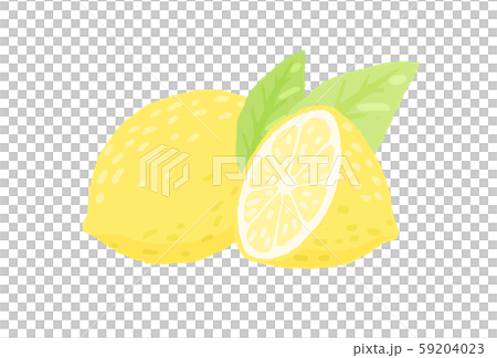 檸檬 レモン シトロン 59204023