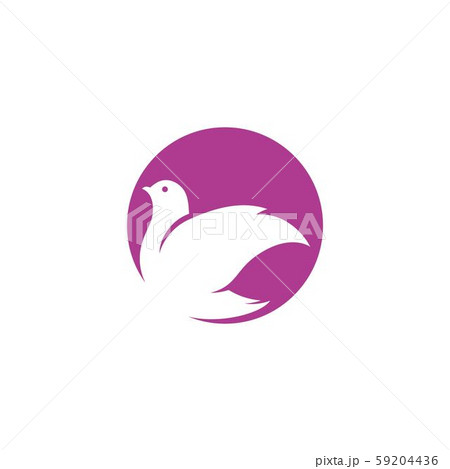 Bird wing Dove icon Template Bird wing Dove icon Template 59204436