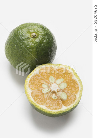 沖縄産の果物　カーブチー　果物 59204635