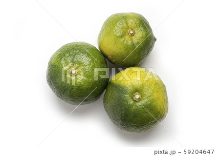 沖縄産の果物　カーブチー　果物 59204647