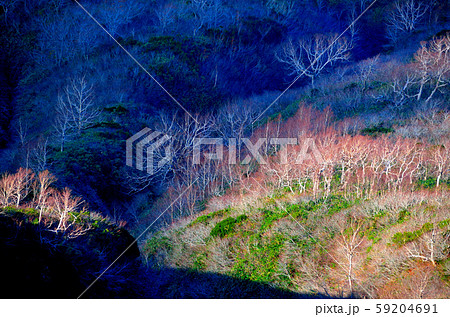 秋田駒ヶ岳 秋田駒ヶ岳 59204691