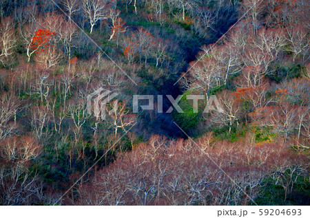 秋田駒ヶ岳 秋田駒ヶ岳 59204693