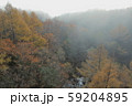 八千穂高原の渓谷を覆う霧 59204895