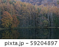 黄葉の御射鹿池 59204897