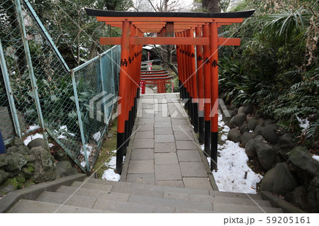 上野 花園神社 上野 花園神社 59205161