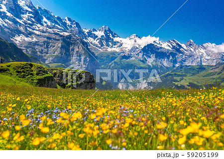 Mountain range Breithorn, Switzerland 59205199