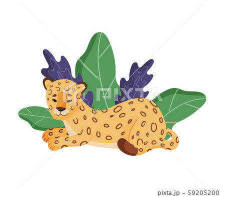 Spotted Leopard Sitting Resting Near Tropical Leaves Vector Illustration 59205200