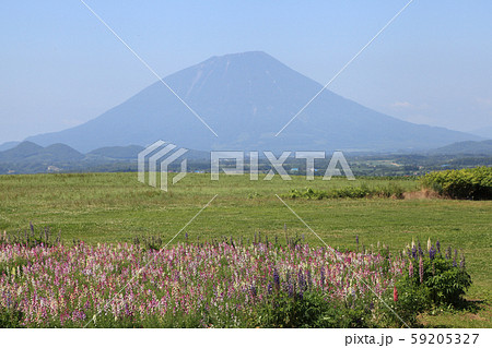 洞爺湖畔から見た羊蹄山 59205327