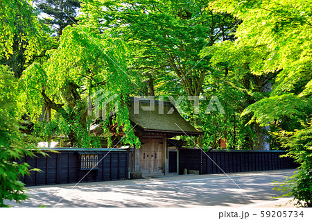 新緑の角館 59205734