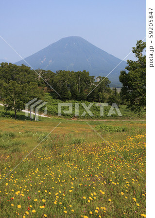ルスツリゾートの羊蹄パノラマテラスから見た羊蹄山 59205847