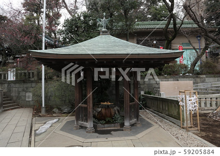 上野 花園神社 上野 花園神社 59205884