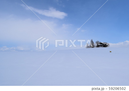 かんのファーム 59206502