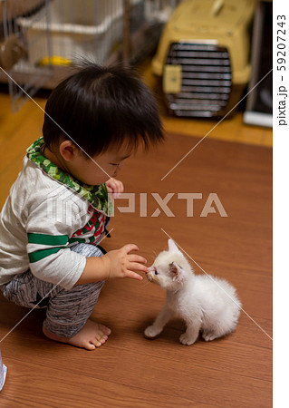 10ヵ月の赤ちゃんと仔猫 59207243