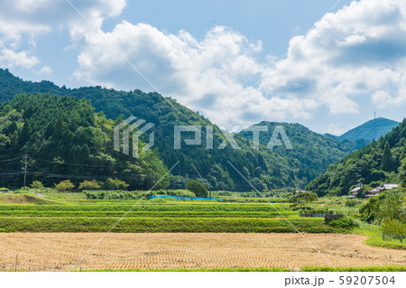 夏の青空とのどかな田園風景【山口県】 59207504