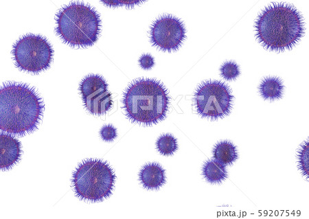 ウイルスのイラスト(コンピューターグラフィック) ウイルスのイラスト(コンピューターグラフィック) 59207549