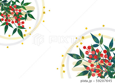 南天 南天 59207645