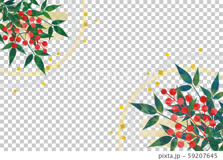 南天 南天 59207645