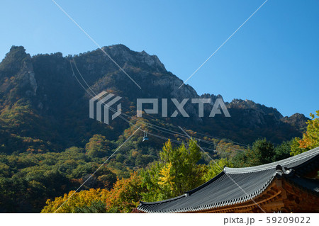 雪岳山 カエデ 自然 59209022