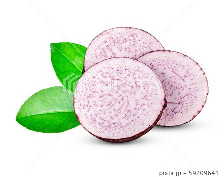 sliced of taro isolated on white background sliced of taro isolated on white background 59209641