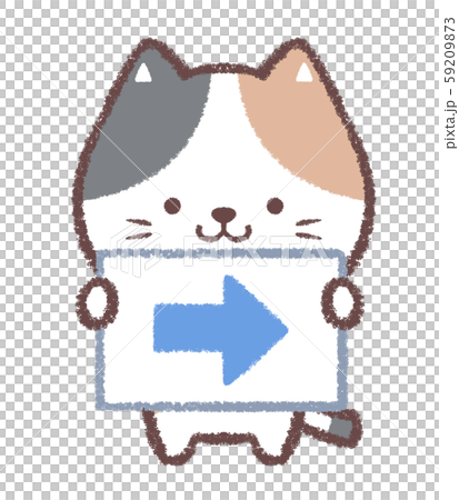 Calico right arrow Calico right arrow 59209873