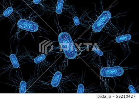 大腸菌のイラスト コンピューターグラフィック のイラスト素材