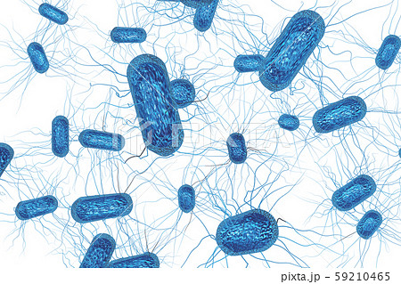 大腸菌のイラスト コンピューターグラフィック 透過素材 のイラスト素材