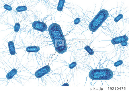 大腸菌のイラスト コンピューターグラフィック 透過素材 のイラスト素材