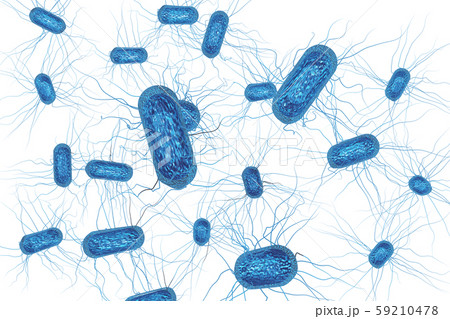 大腸菌のイラスト コンピューターグラフィック 透過素材 のイラスト素材