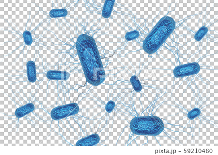 Illustration of E. coli (computer graphic: transparent material) Illustration of E. coli (computer graphic: transparent material) 59210480