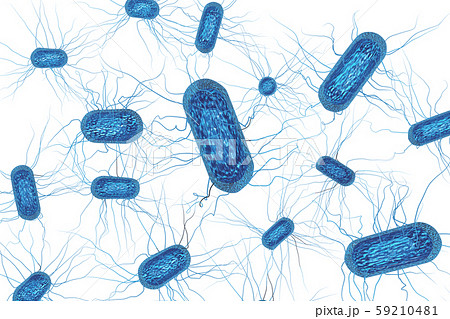大腸菌のイラスト コンピューターグラフィック 透過素材 のイラスト素材