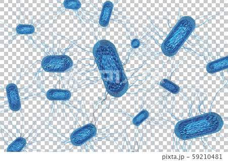 Illustration of E. coli (computer graphic: transparent material) Illustration of E. coli (computer graphic: transparent material) 59210481