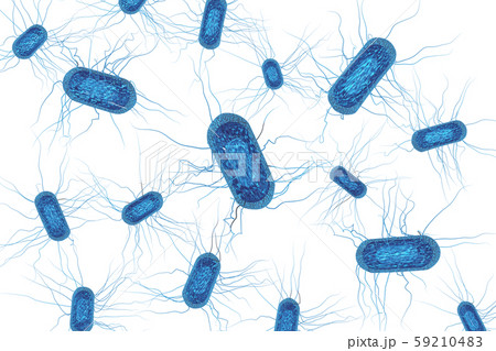 大腸菌のイラスト コンピューターグラフィック 透過素材 のイラスト素材