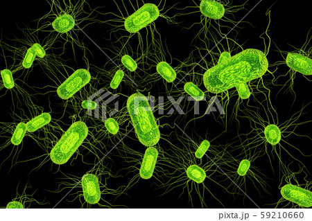 大腸菌のイラスト コンピューターグラフィック のイラスト素材