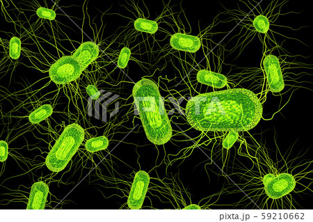 大腸菌のイラスト コンピューターグラフィック のイラスト素材