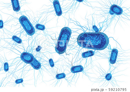 大腸菌のイラスト コンピューターグラフィック 白バック のイラスト素材
