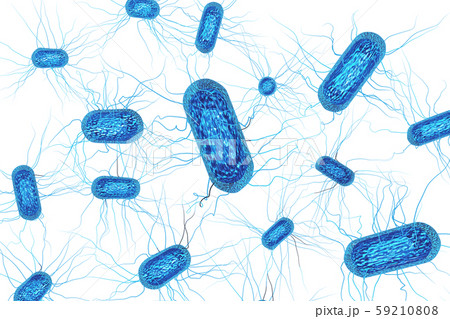 大腸菌のイラスト コンピューターグラフィック 白バック のイラスト素材
