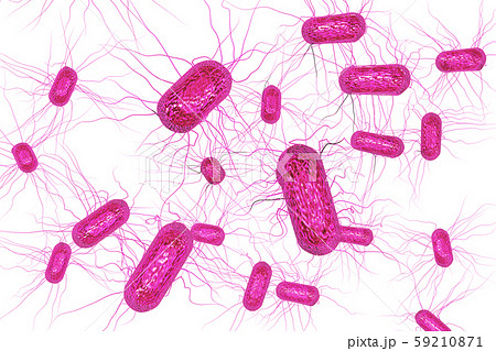 大腸菌のイラスト コンピューターグラフィック 白バック のイラスト素材