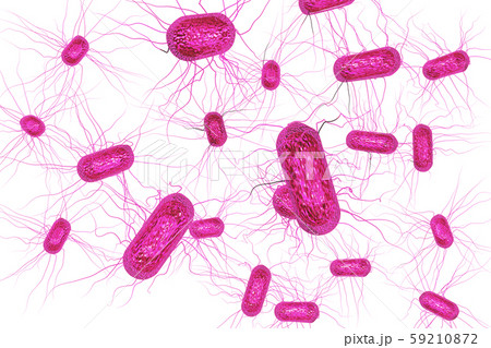大腸菌のイラスト コンピューターグラフィック 白バック のイラスト素材