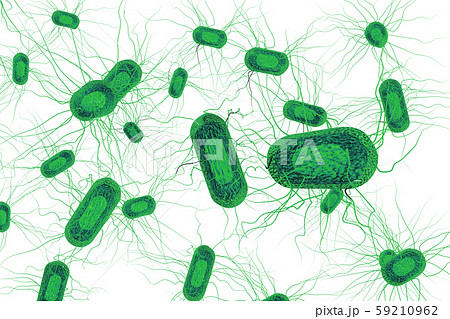 大腸菌のイラスト コンピューターグラフィック 白バック のイラスト素材