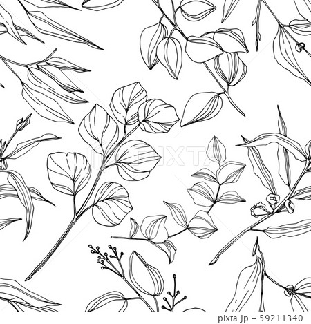 Vector Eucalyptus tree leaves jungle botanical. Black and white engraved ink art. Seamless 59211340