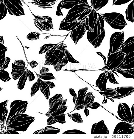 Vector Magnolia floral botanical flowers. Black and white engraved ink art. Seamless background Vector Magnolia floral botanical flowers. Black and white engraved ink art. Seamless background 59211709