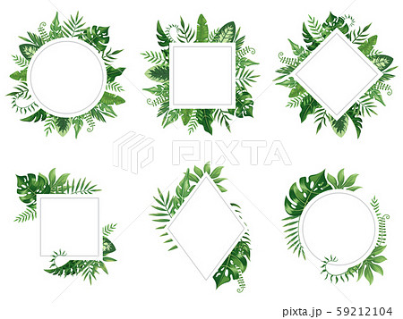 Exotic leaf frame. Spring leaves card, tropical tree frames and vintage floral jungle border Exotic leaf frame. Spring leaves card, tropical tree frames and vintage floral jungle border 59212104
