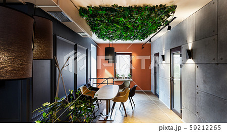 Natural interior in modern cafe with plants on ceiling 59212265