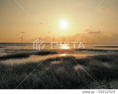台湾・台中市・夕方の高美湿地 Gaomei Wetlands, Taichung, Taiwan 59212424