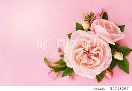 Summer blossoming delicate rose blooming flowers festive background, pastel and soft bouquet floral card, selective focus, toned	 59213267