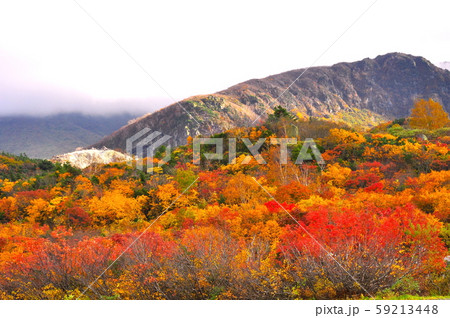 錦秋の栗駒山須川高原温泉 錦秋の栗駒山須川高原温泉 59213448