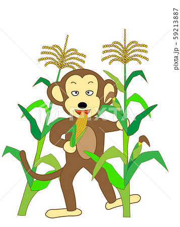 作物を食い荒らす猿 59213887