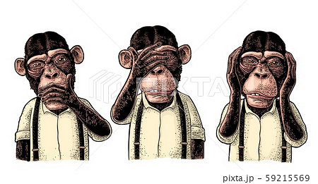 Three wise monkeys. Not see, not hear, not speak. 59215569