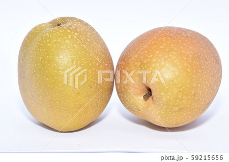 梨・王秋 梨・王秋 59215656